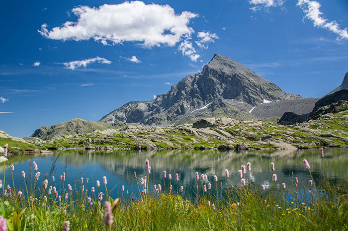 At the Foot of Monviso